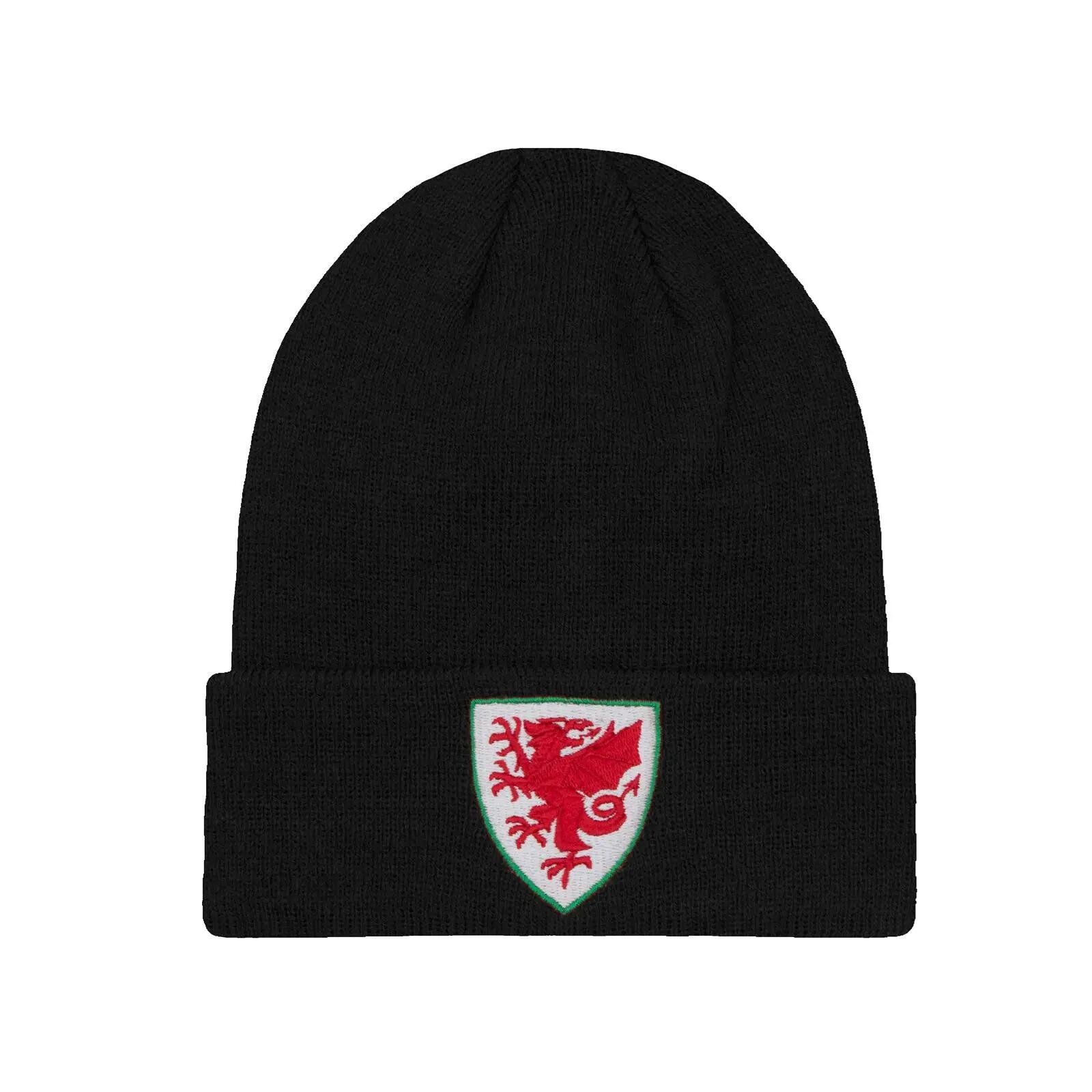 FA WALES picture