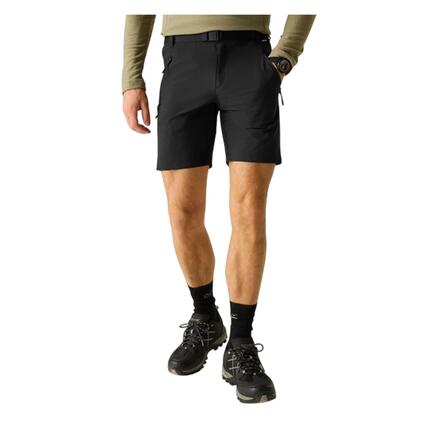 Short Uni À Taille Semiélastiquée Et Ceinture Amovible XERT Homme (Bleu De Gris)