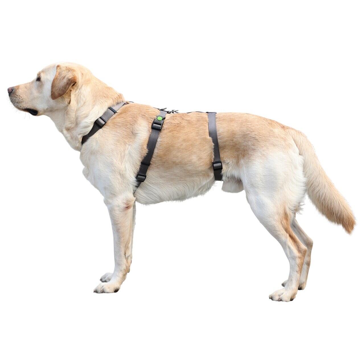 Hundegeschirr Kerbl Miami 2/2