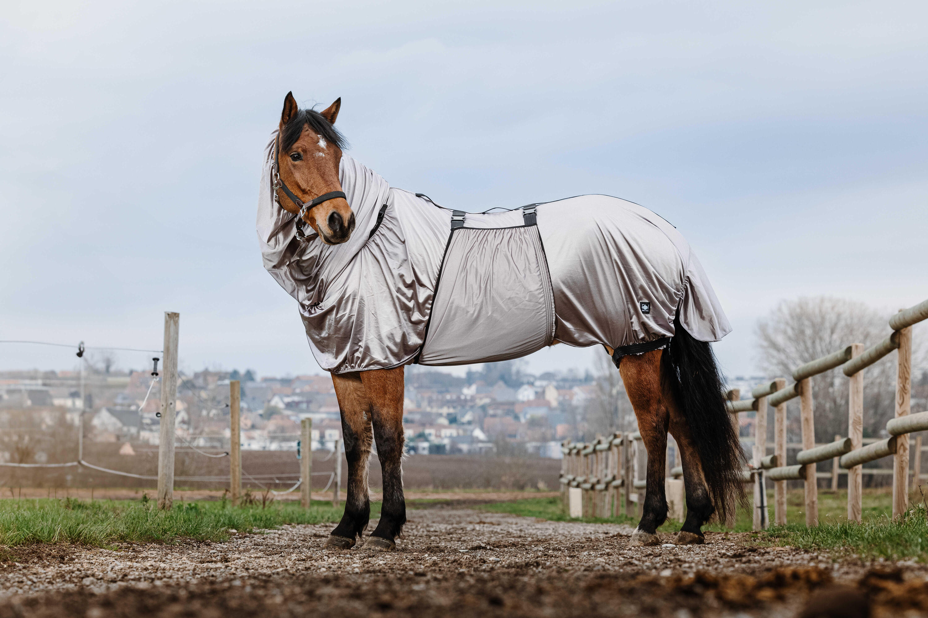 RIDING WORLD picture