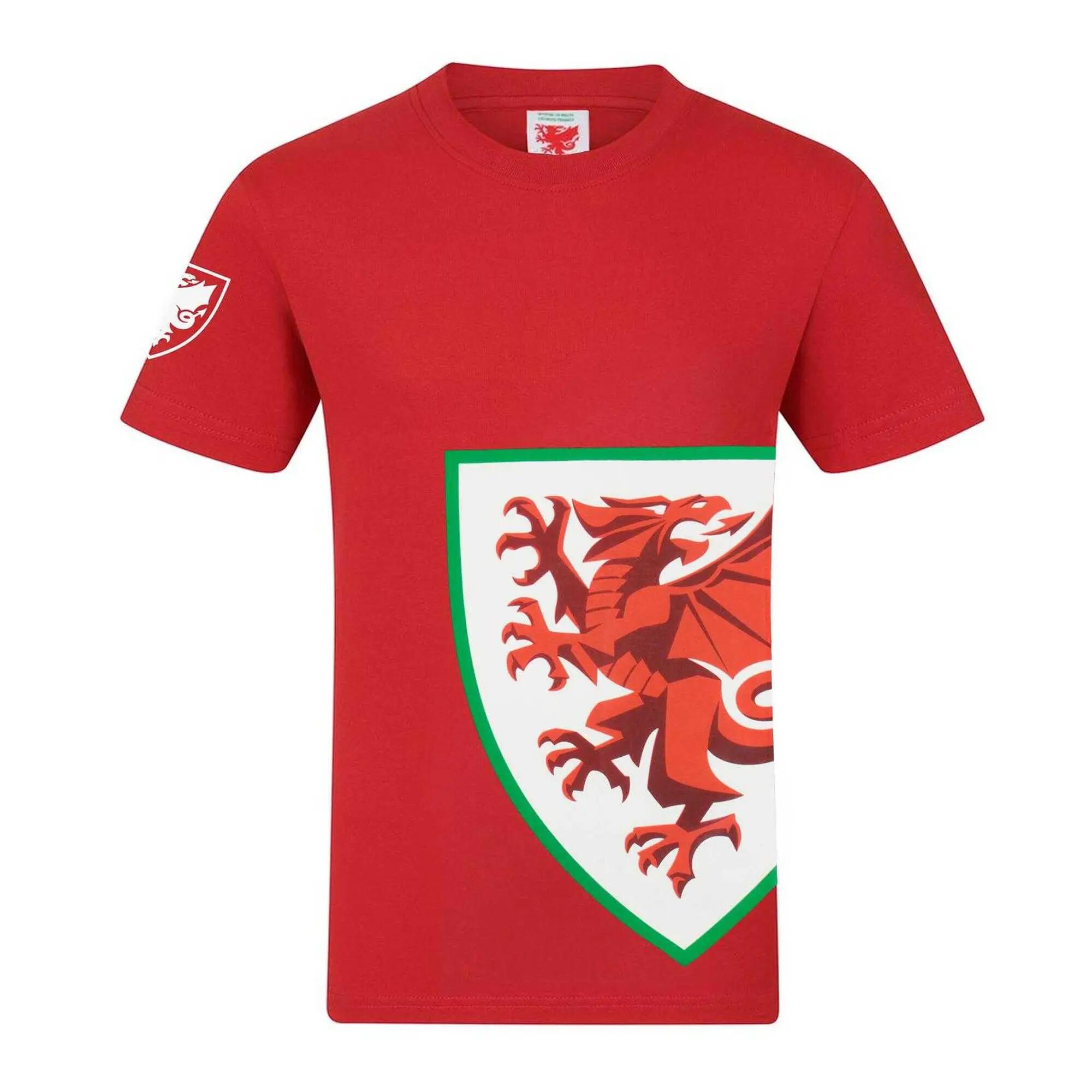FA WALES picture
