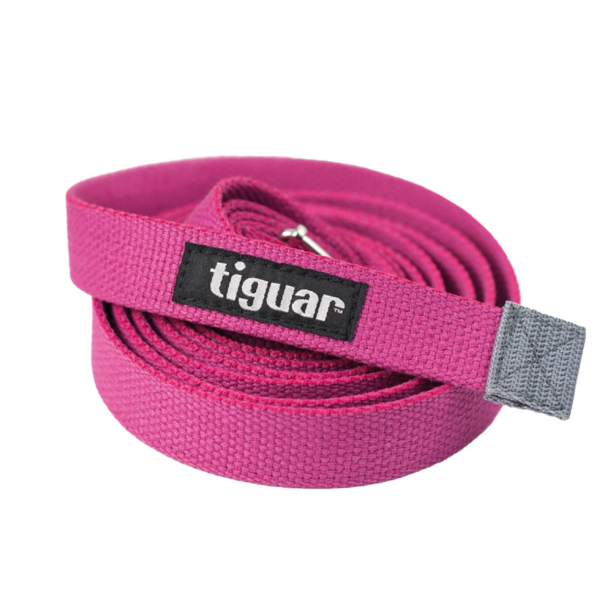 TIGUAR picture