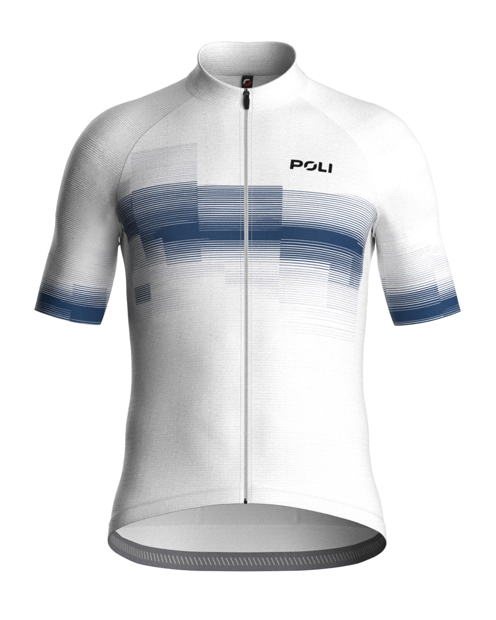 POLI picture
