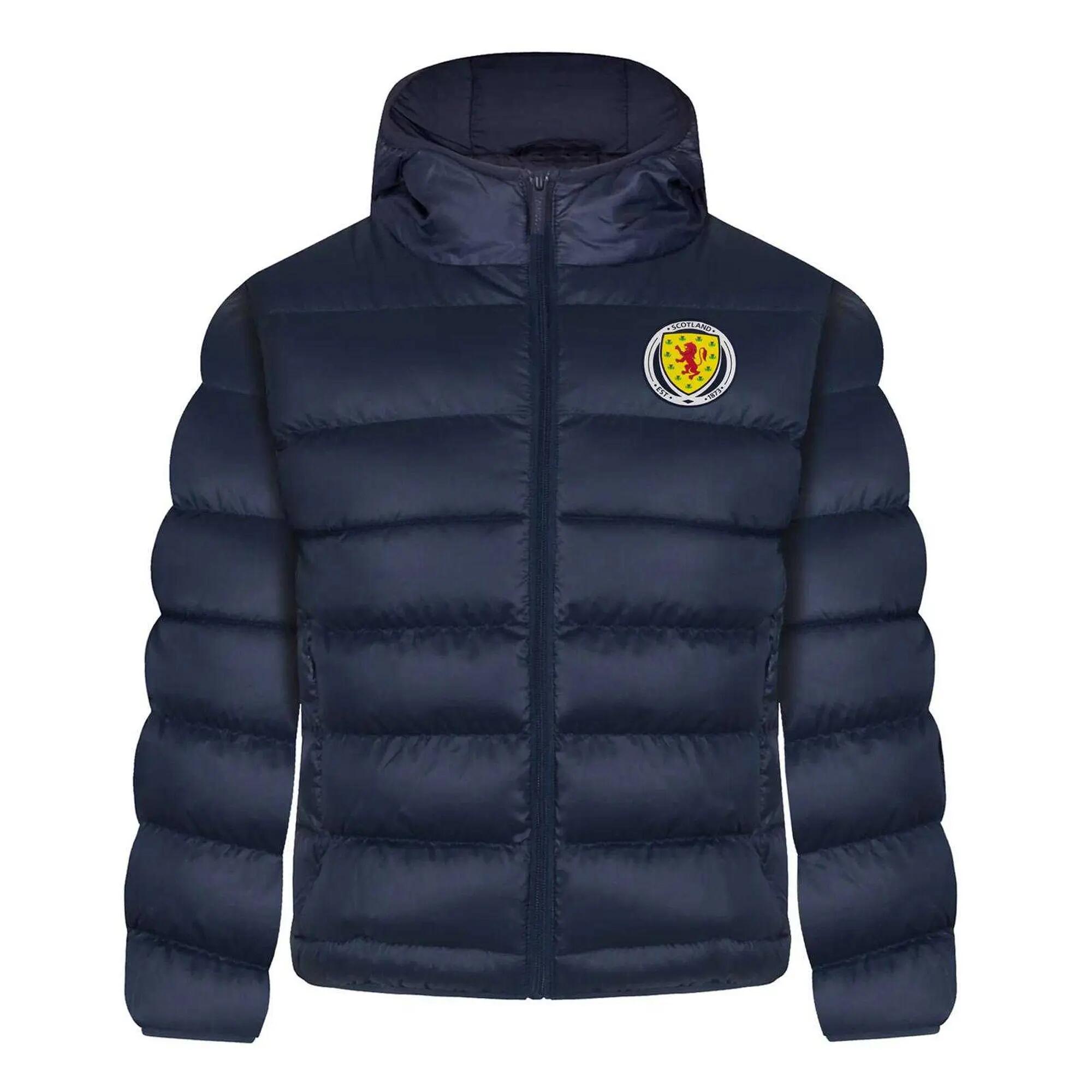 SCOTTISH FA picture