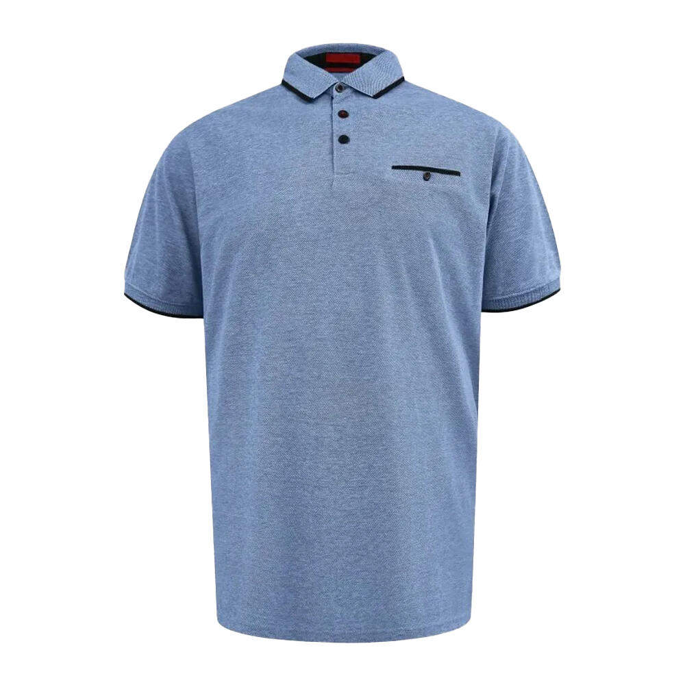 Polo Manches Courtes Taille Grand HARVEY Homme (Bleu) 2/4