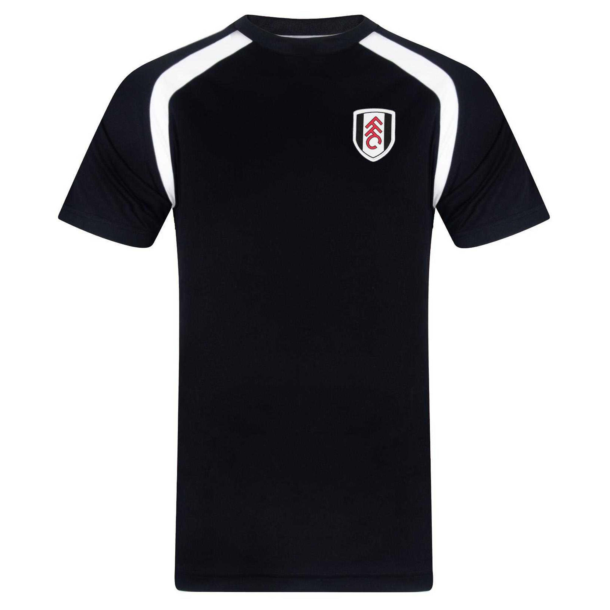 FULHAM FC picture