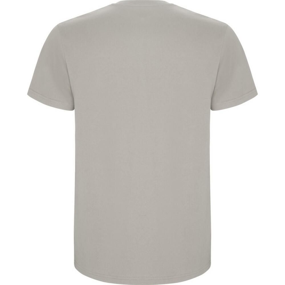 Tshirt STAFFORD Homme (Gris) 2/4
