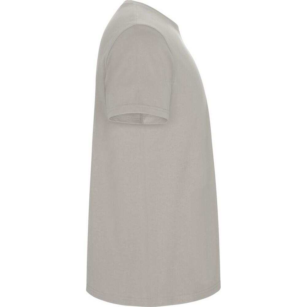 Tshirt STAFFORD Homme (Gris) 4/4