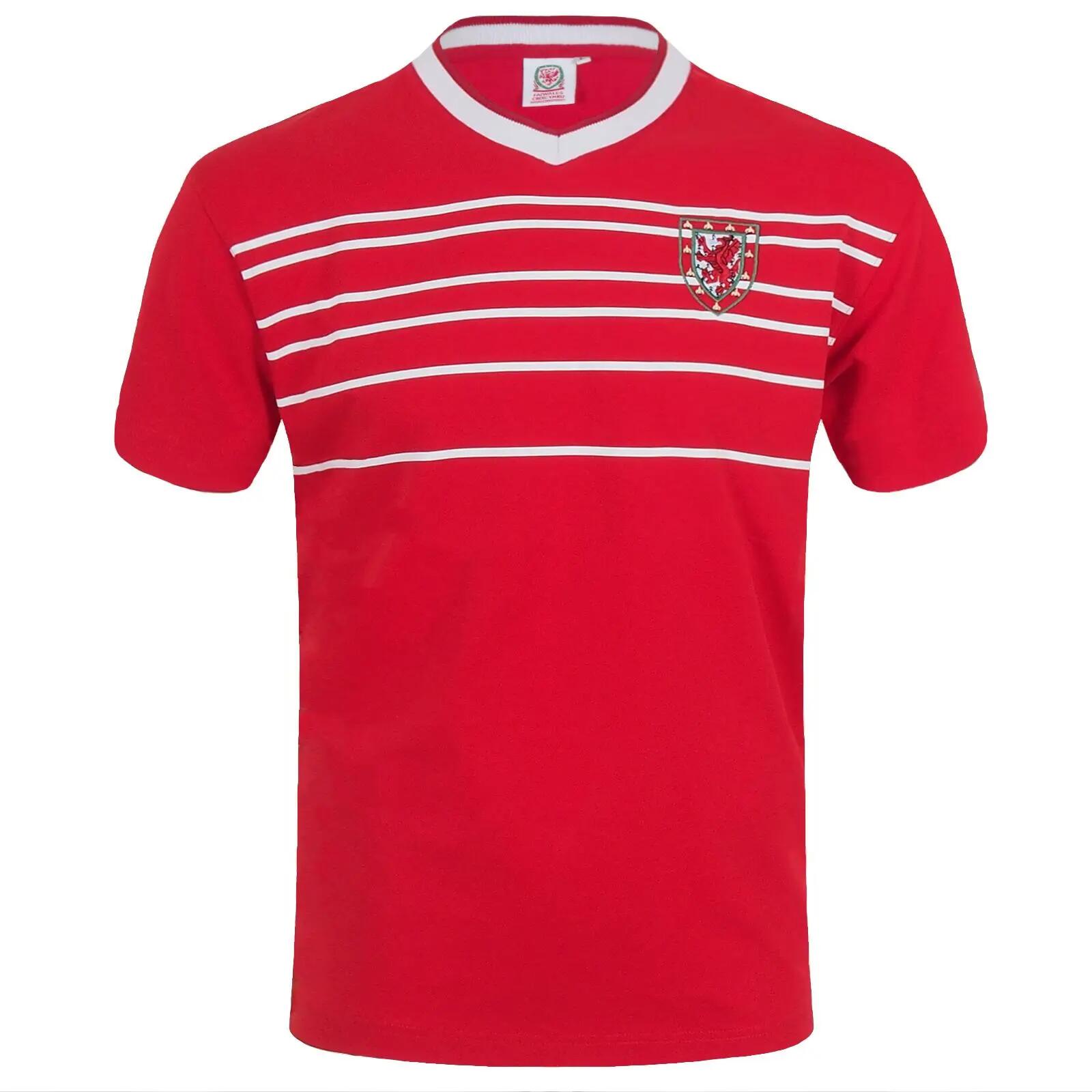 FA WALES picture