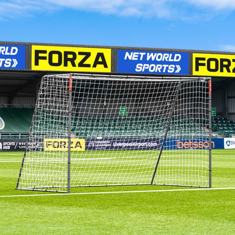 FORZA picture