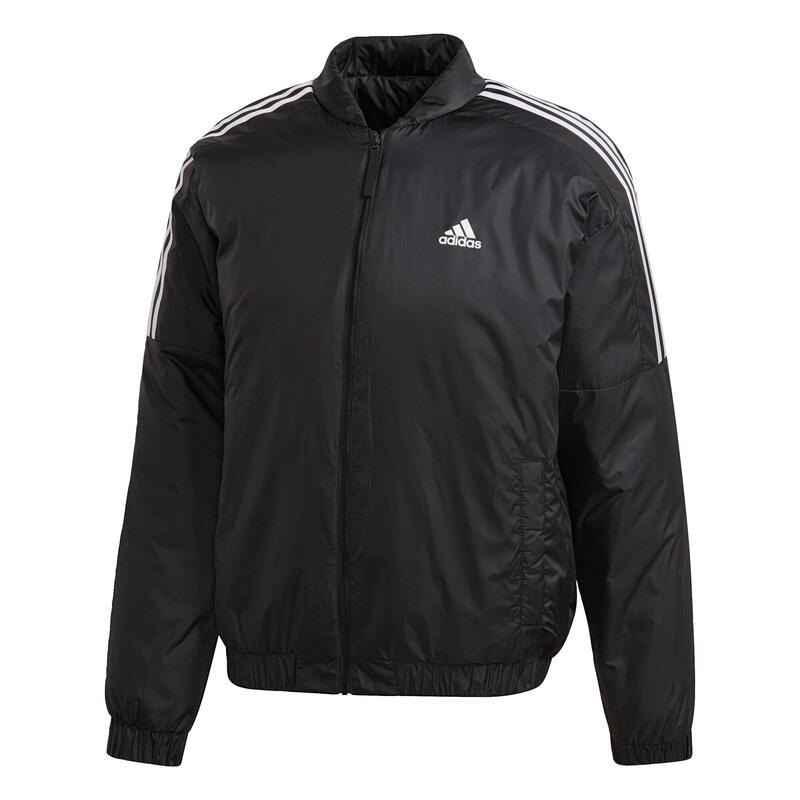 Veste bomber Essentials Insulated
