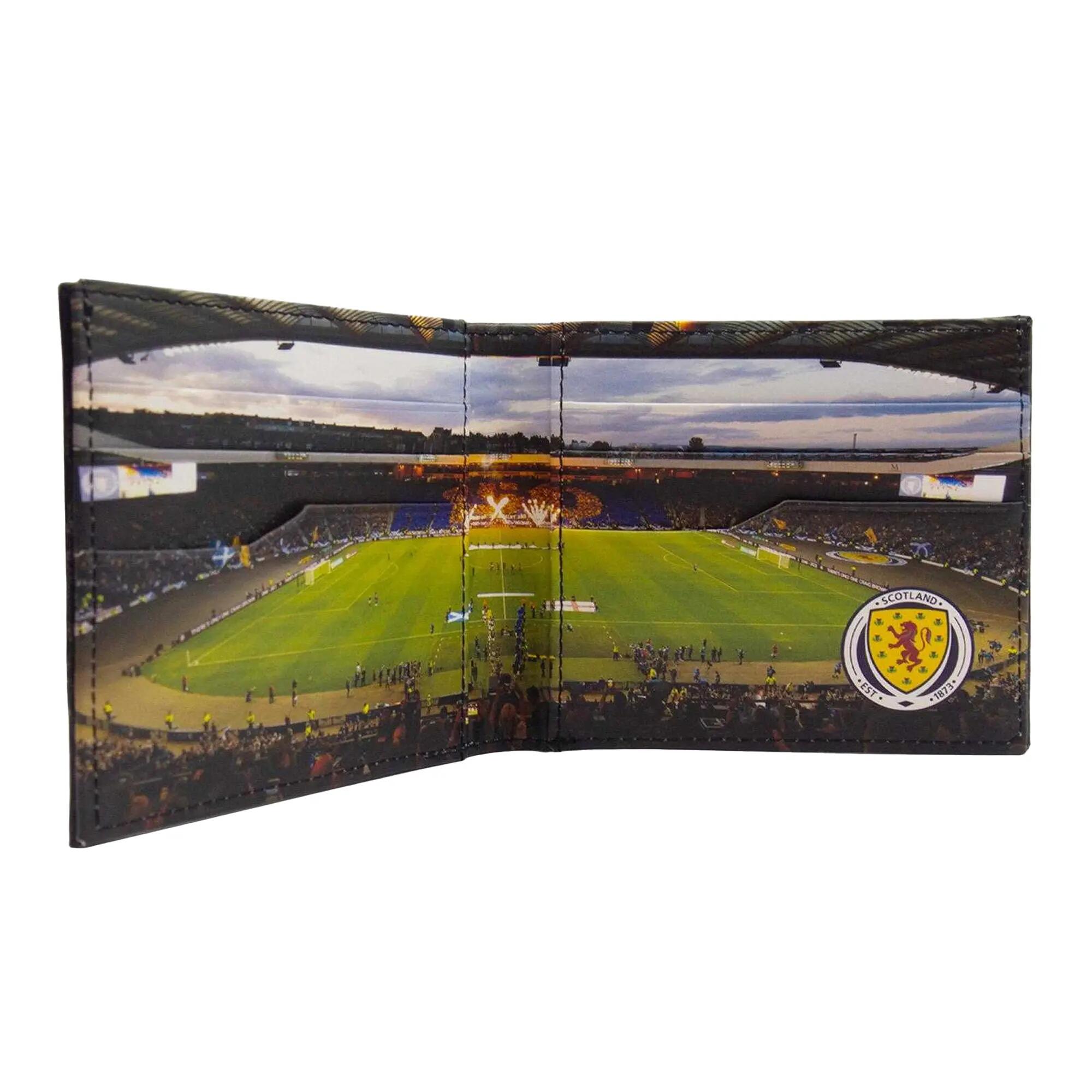 SCOTTISH FA picture