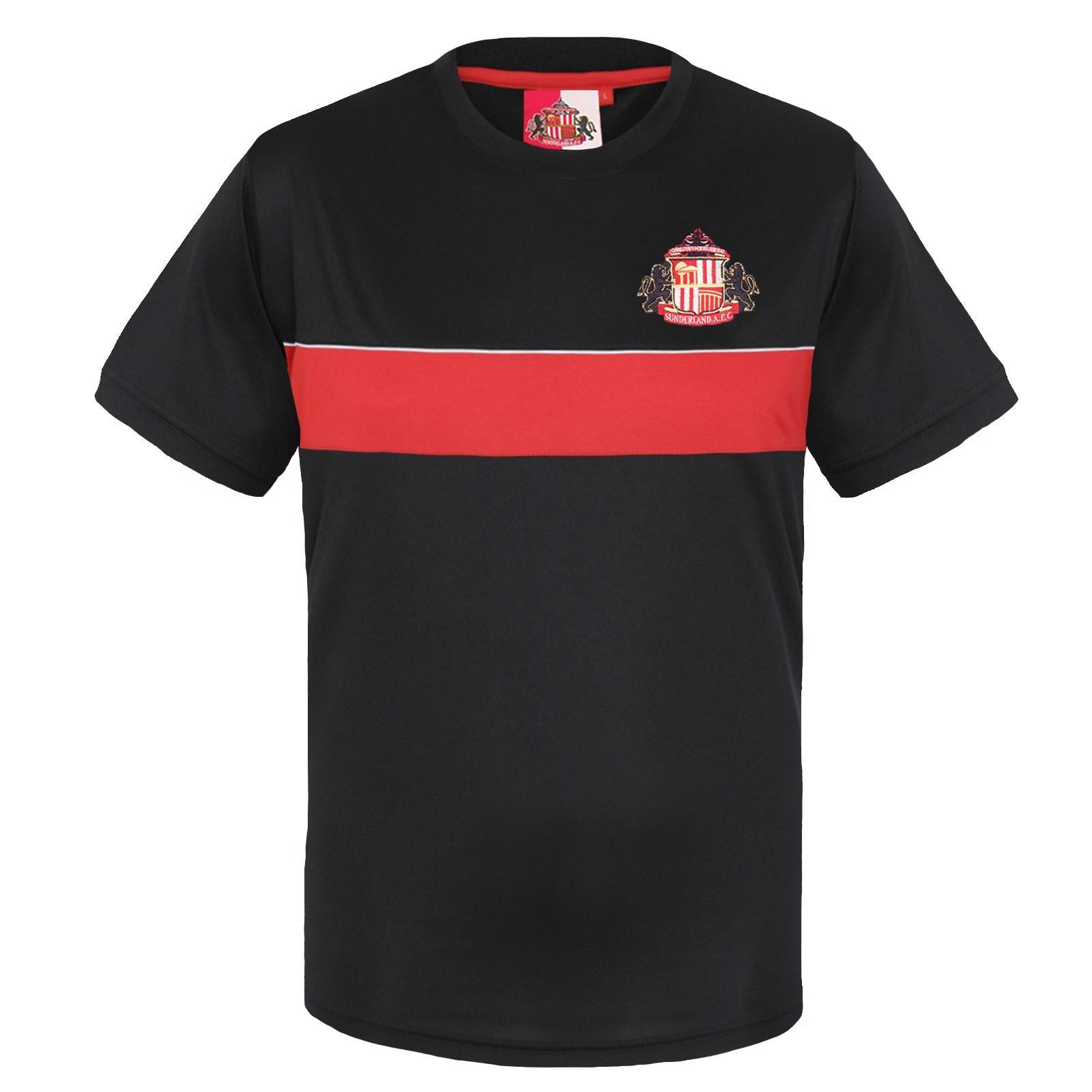 SUNDERLAND AFC picture