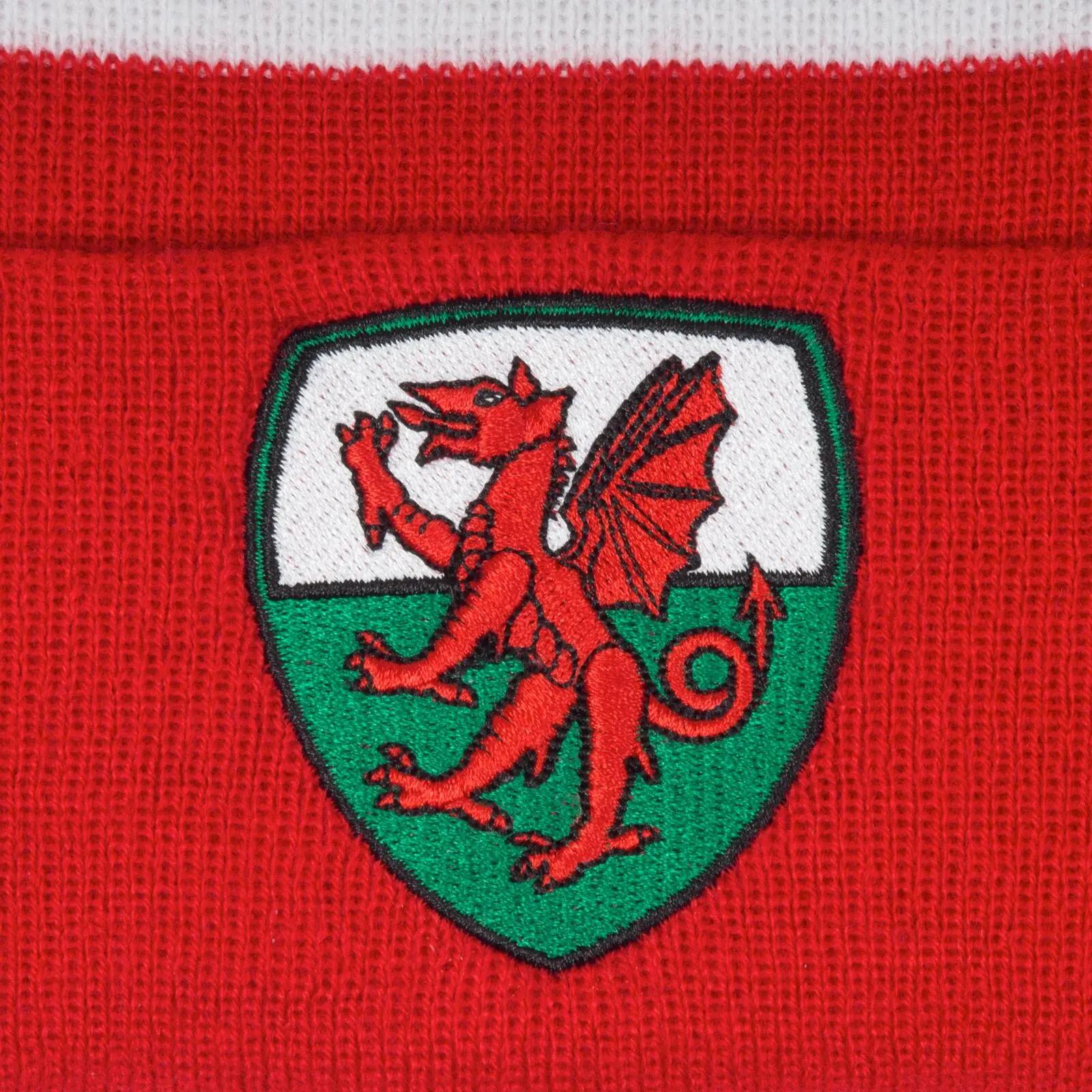 Bonnet Motif/style Rétro WALES (Rouge / Blanc / Vert) 3/3