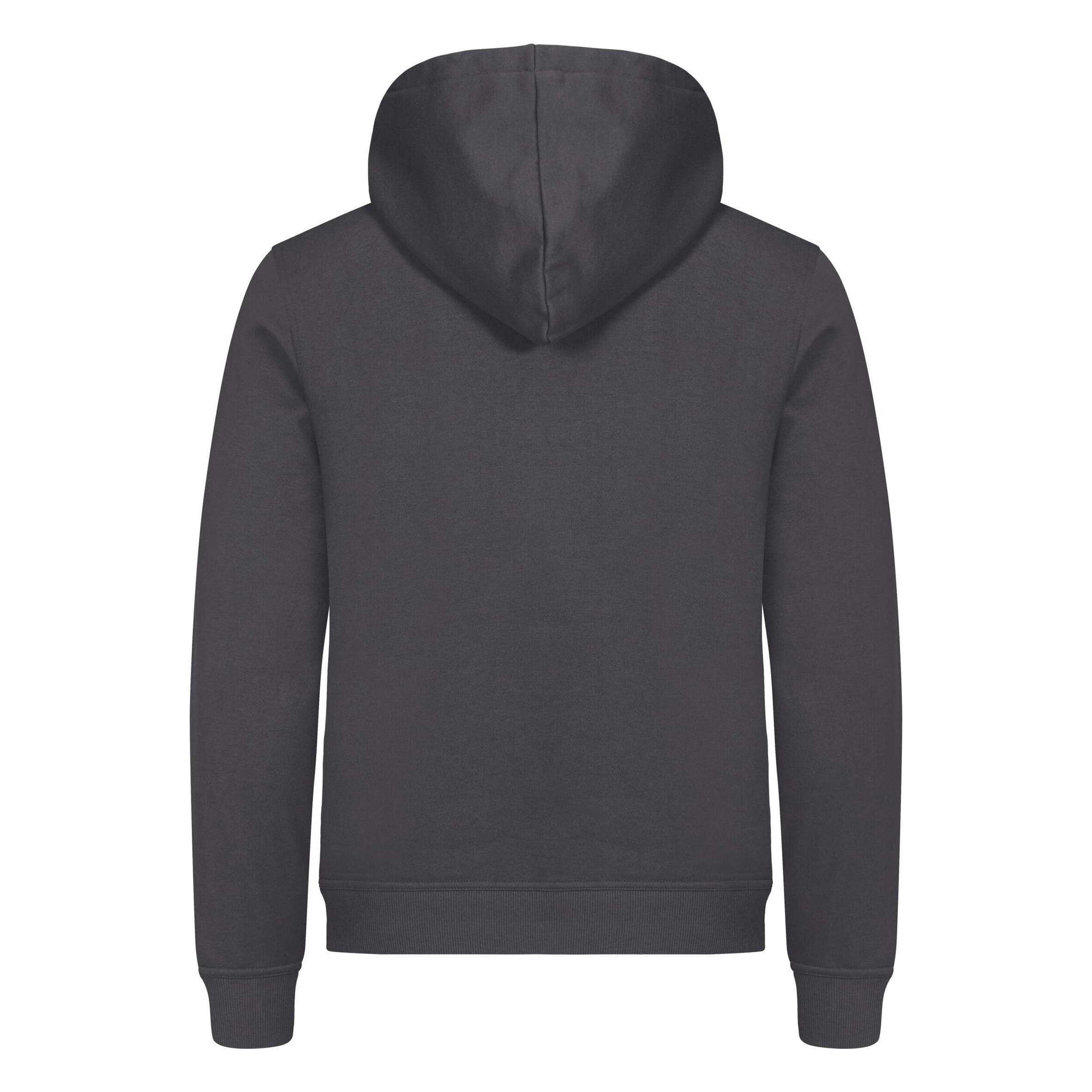 Sweat À Capuche MIAMI Adulte (Gris Métal) 2/3