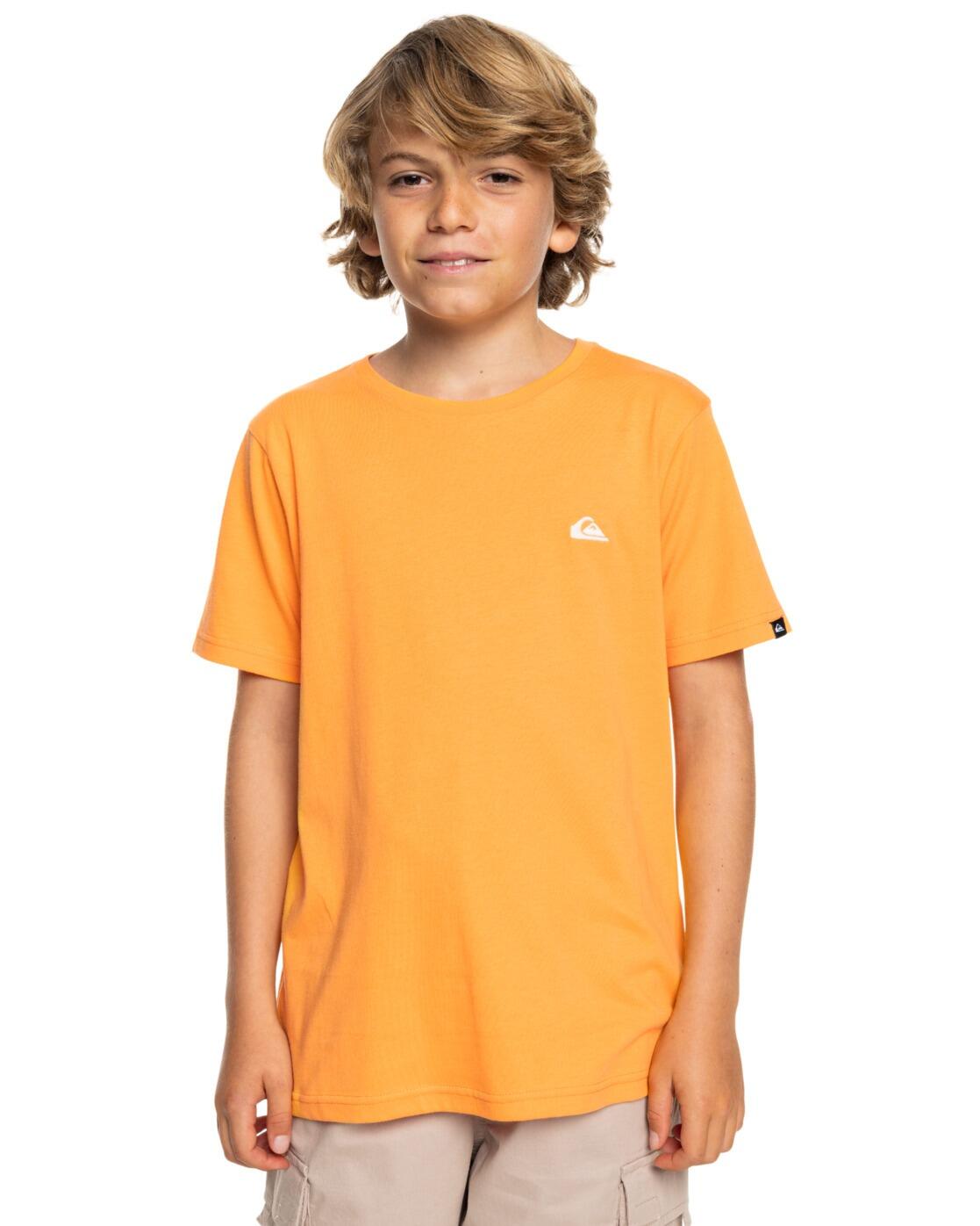 QUIKSILVER picture