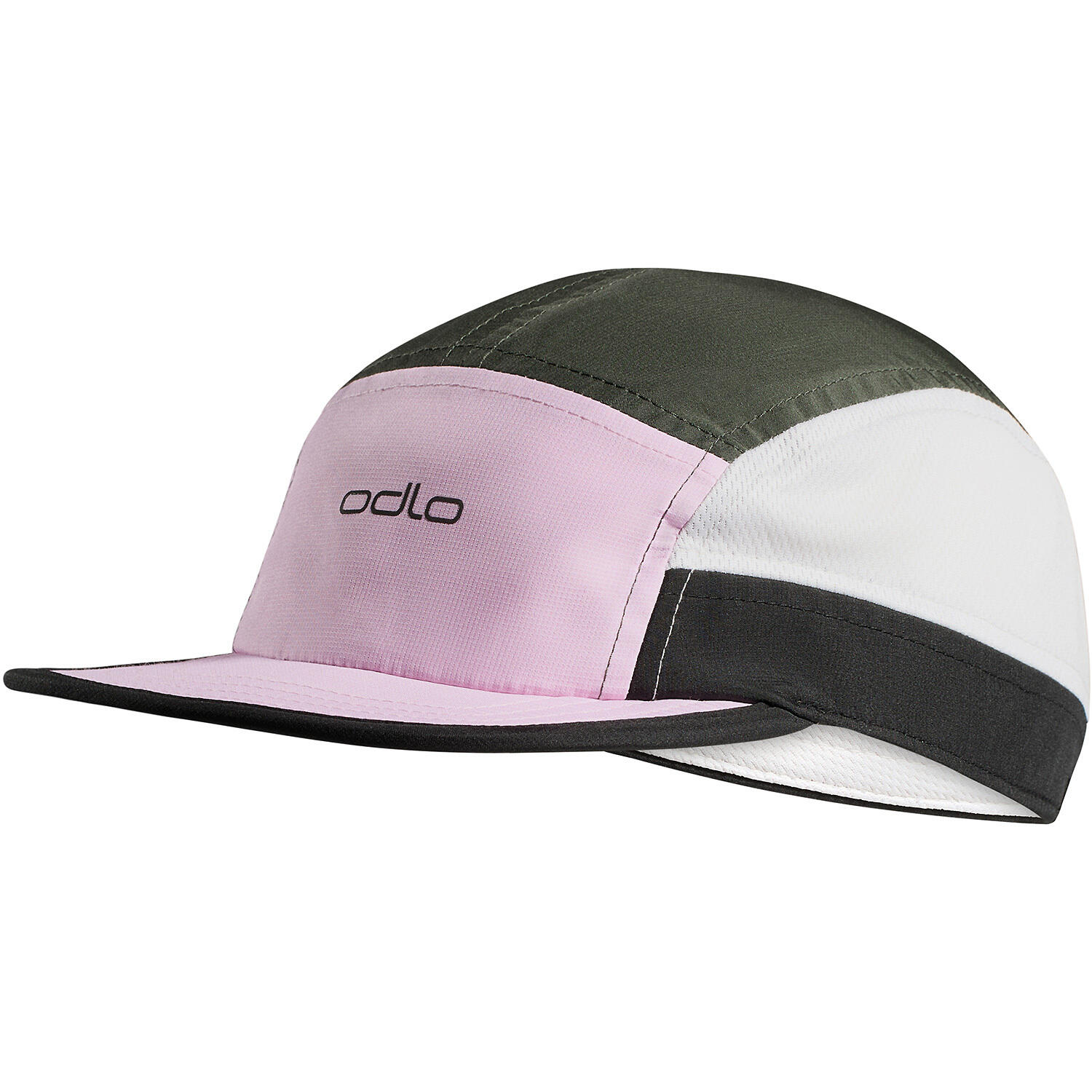 ODLO picture