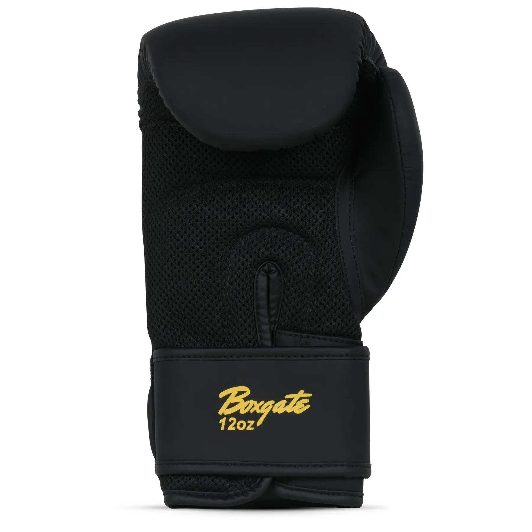 Kit de boxe Benlee Starter 2/6
