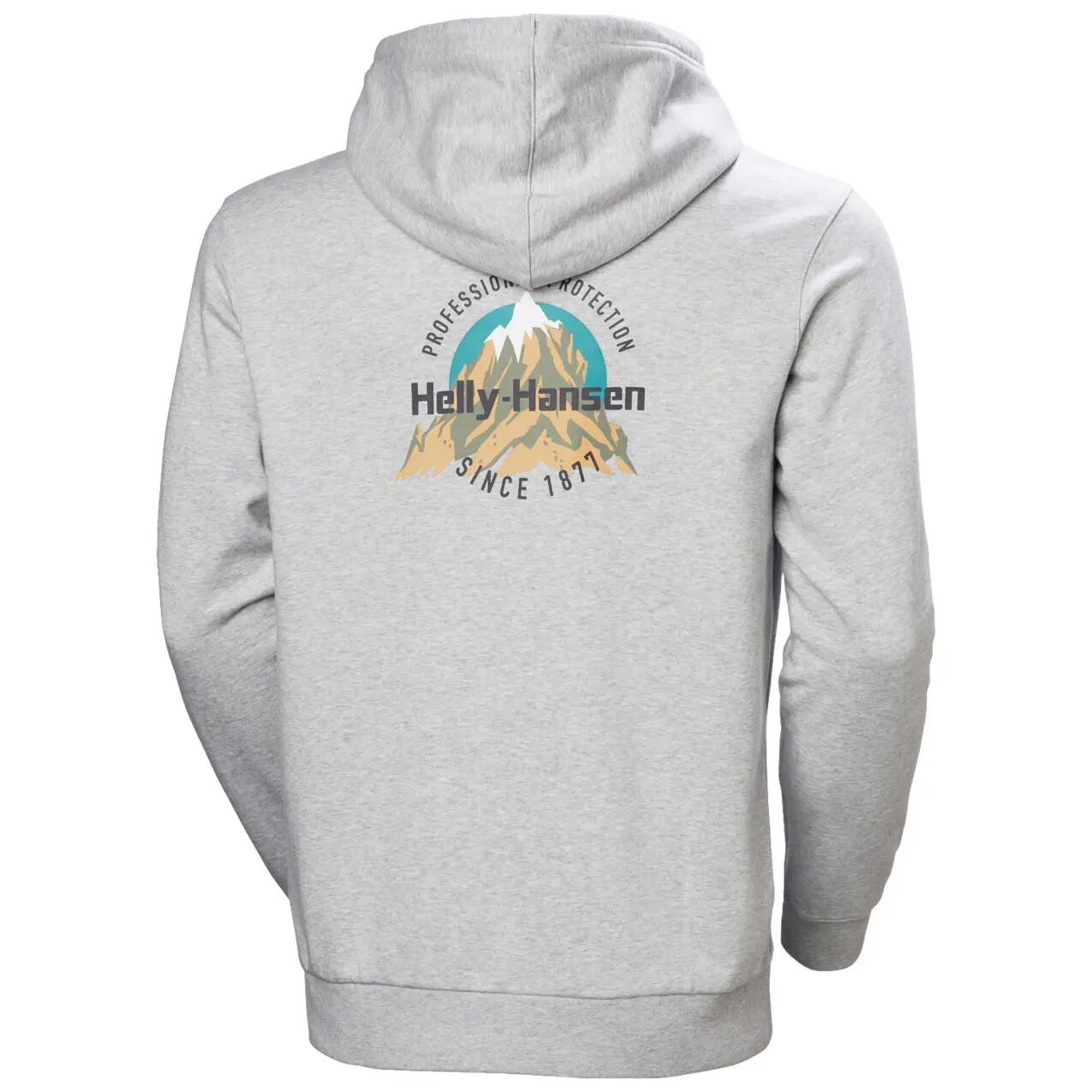 Hoodie Helly Hansen Core Graphic 6/6