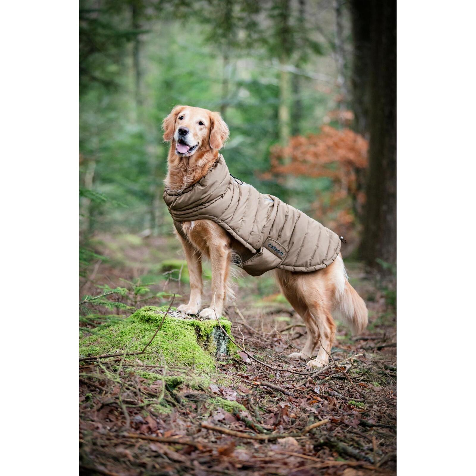 Hondenjas Catago FIR-Tech 2/5