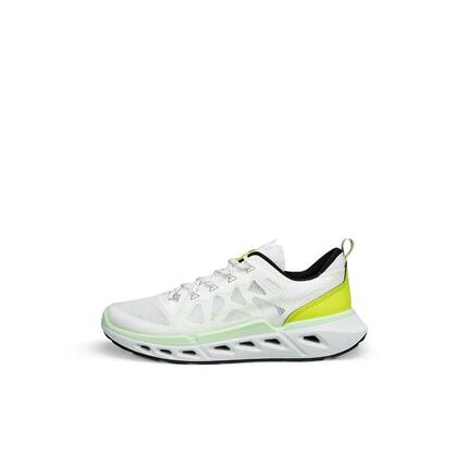 Trainers Ecco Biom 720