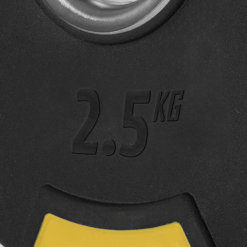 USR P25 2,5 Kg Olimpik Plaka
