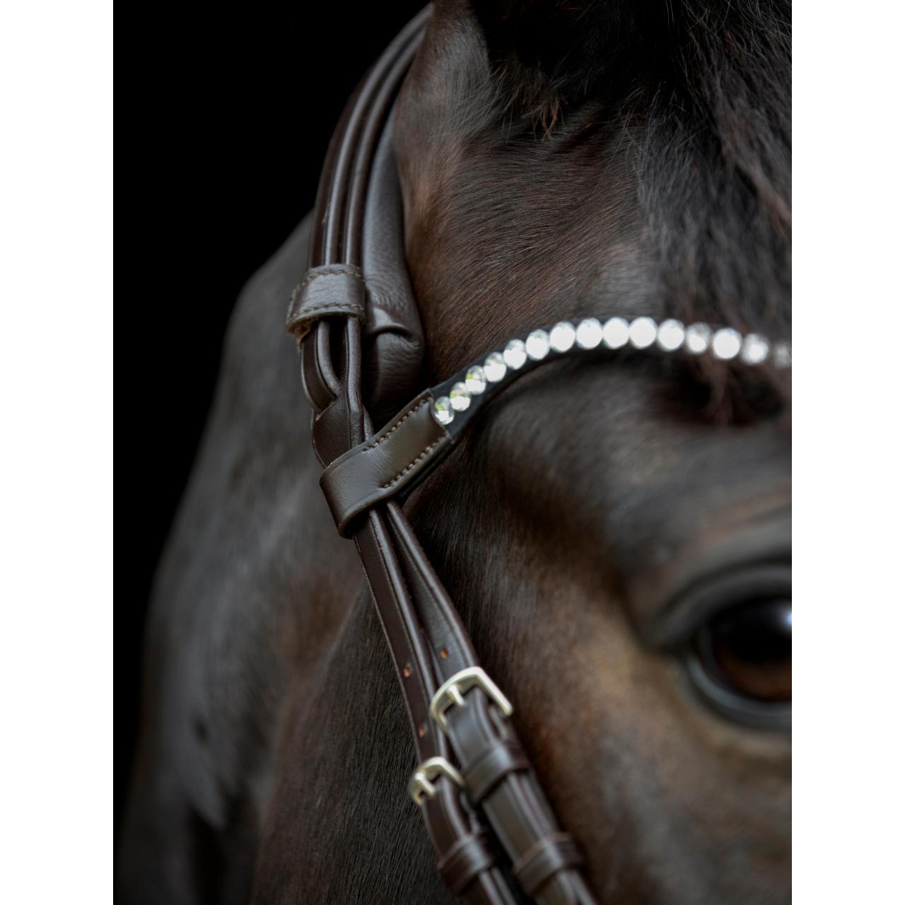 Frontal pour cheval Catago Gentle 3/3