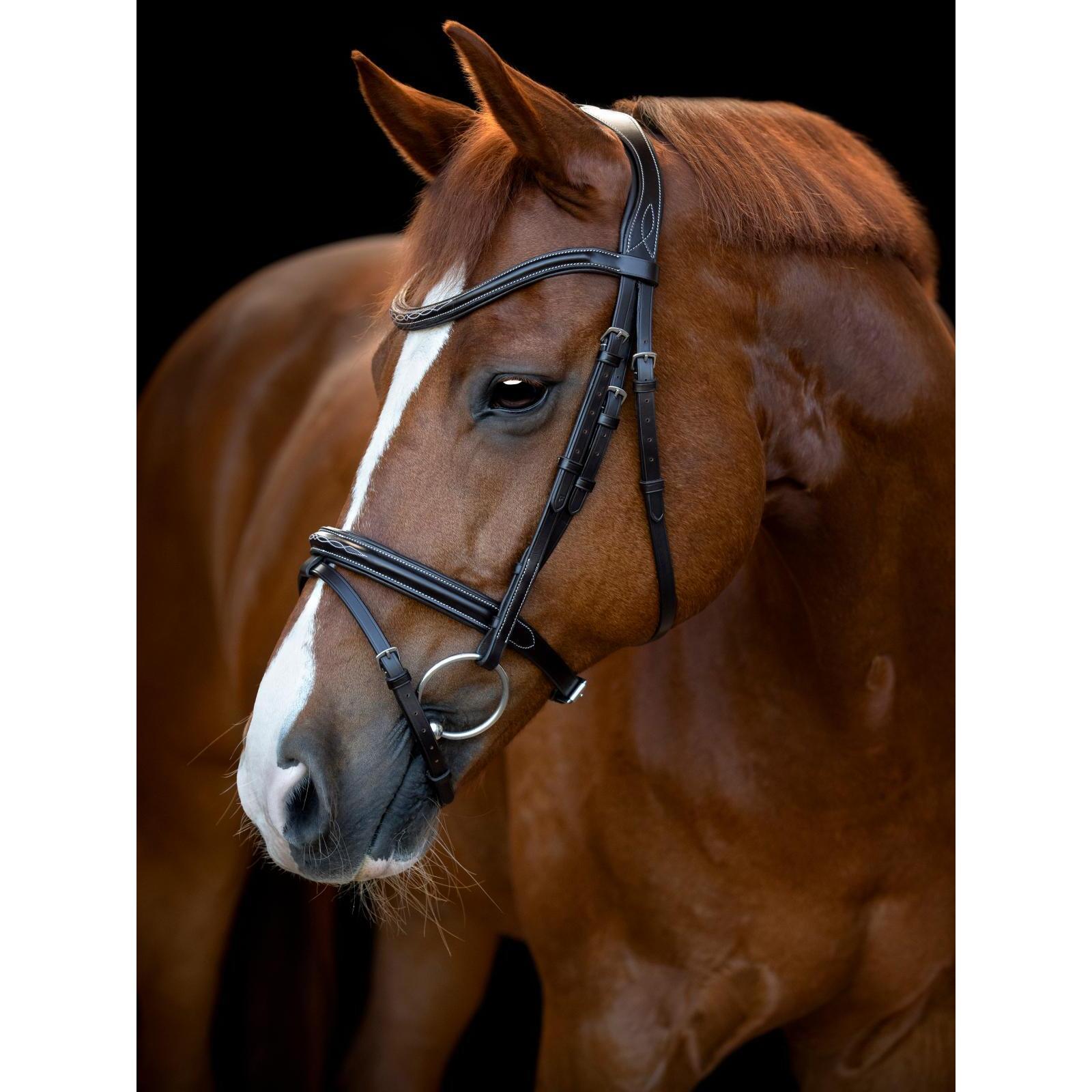 Bridon équitation pour cheval Catago Torina 3/3