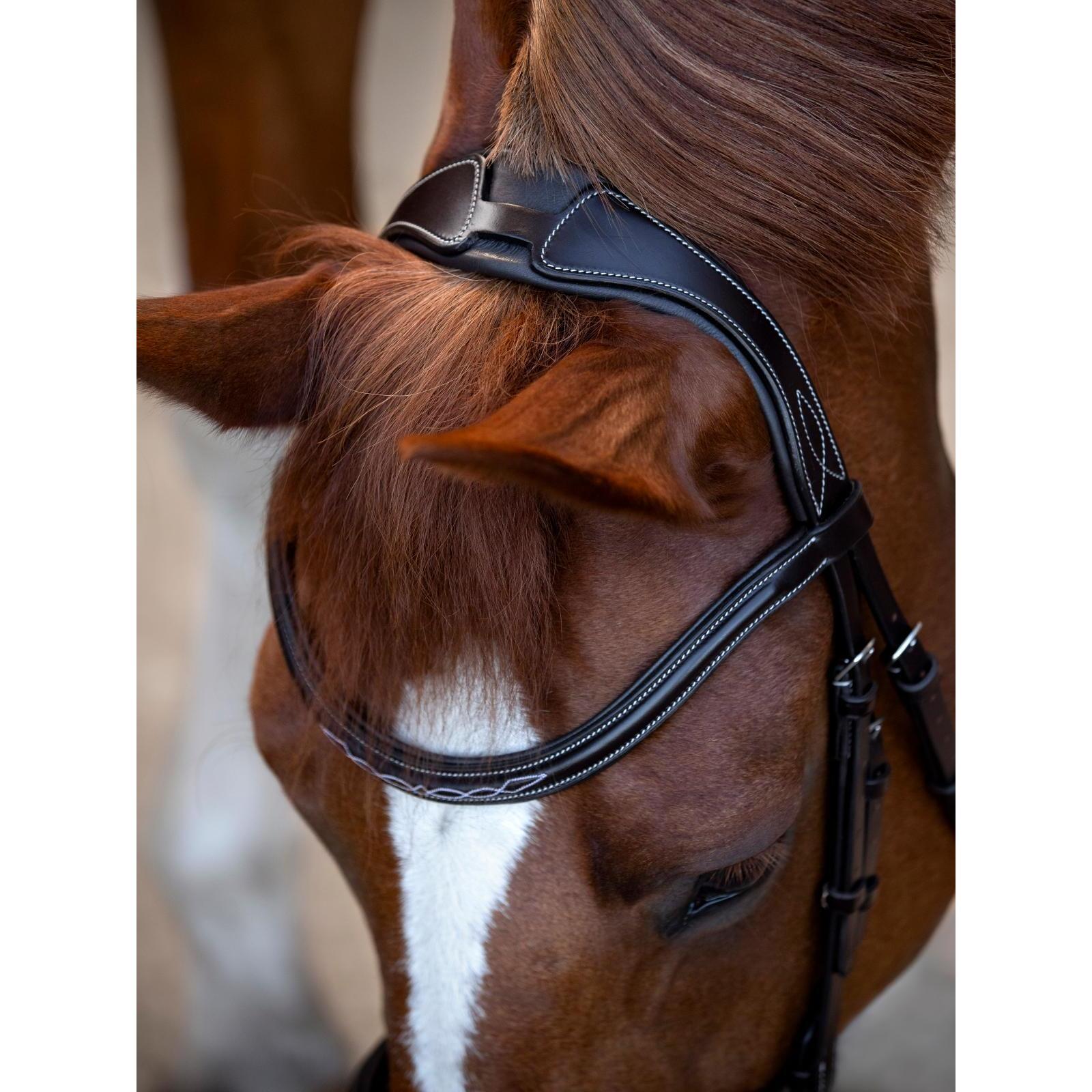 Bridon équitation pour cheval Catago Torina 2/3