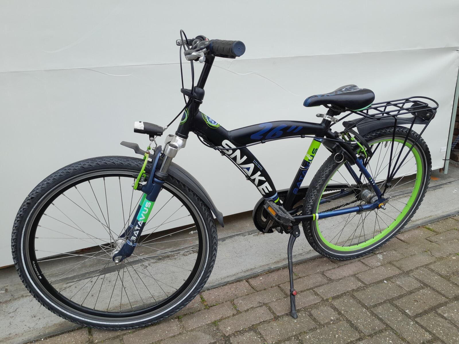 Batavus Snake 3/5