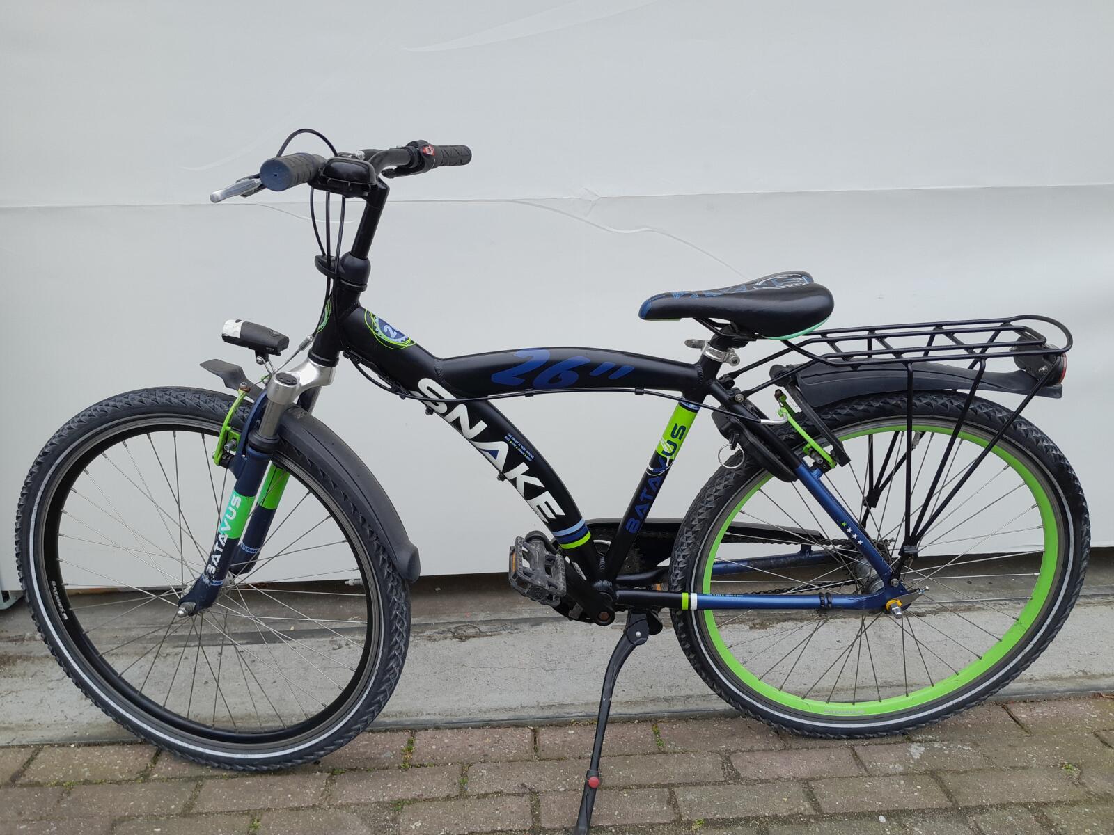Batavus Snake 4/5