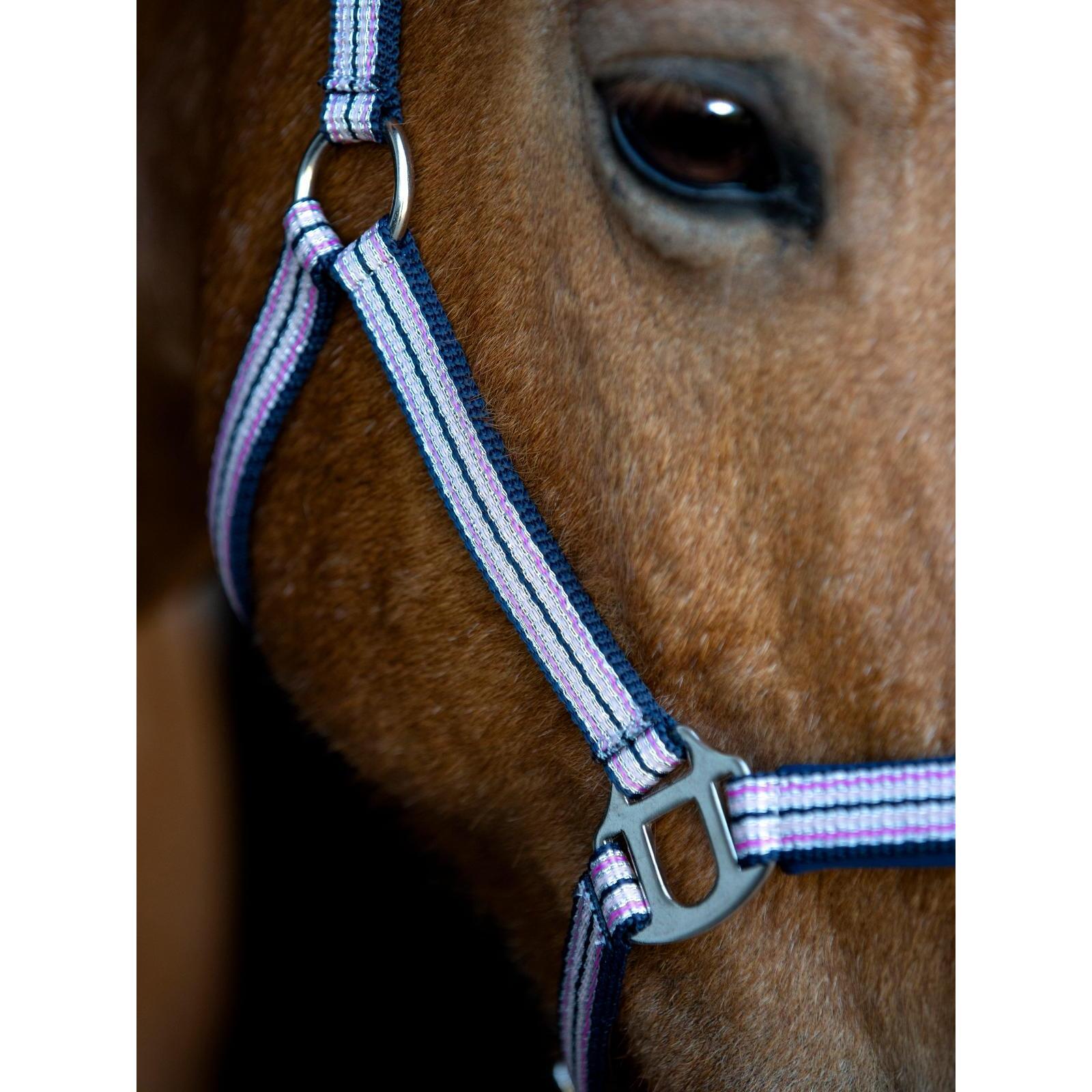Licol pour cheval HorseGuard Mascha 3/3