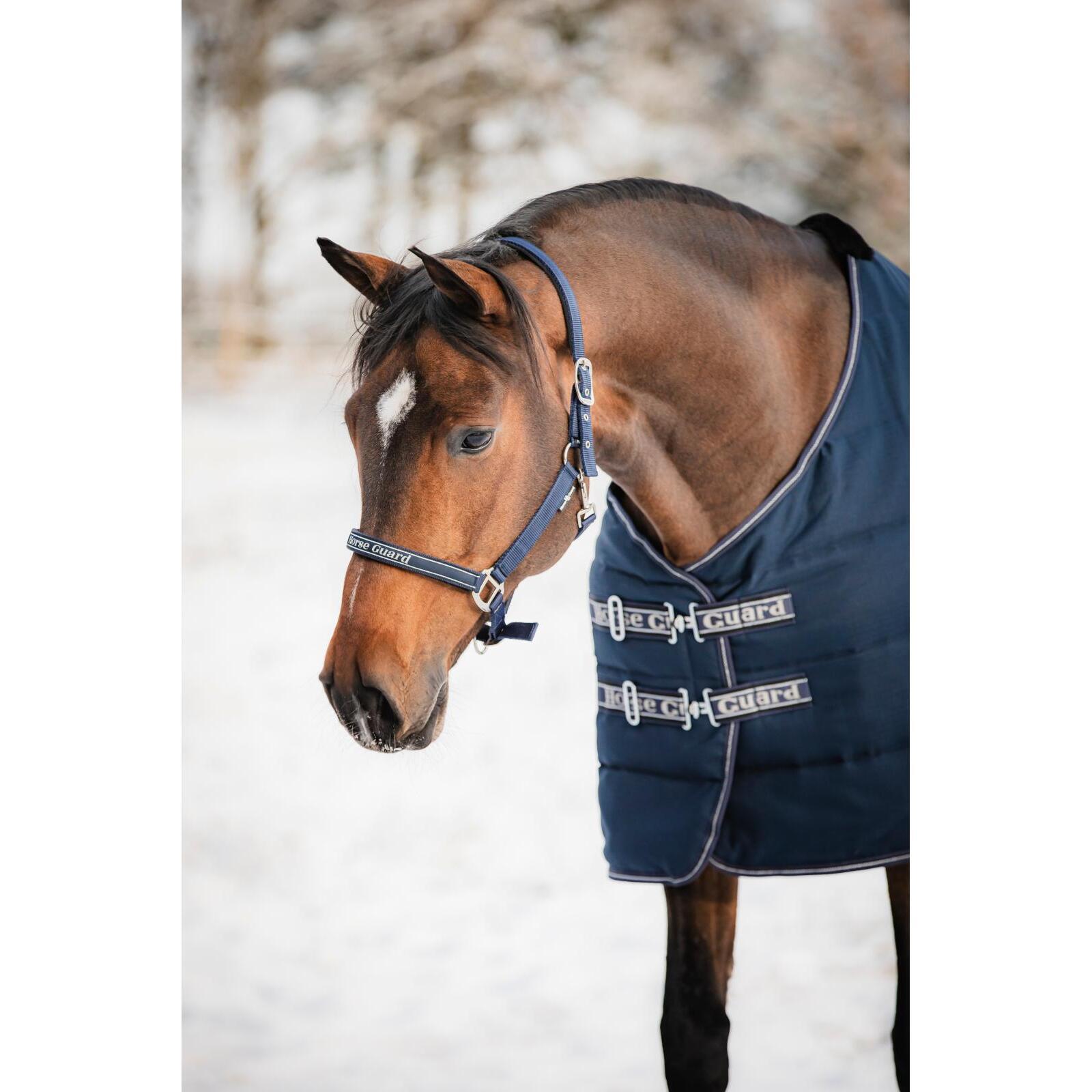 Halfter für Pferd HorseGuard Sandra 2/2
