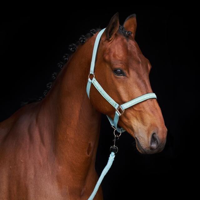 HV Polo Halster HVPNena - Aqua Sky (Cob) (Cob) 2/3