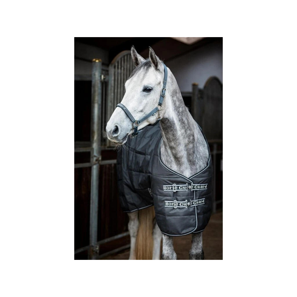 Couverture d'écurie pour cheval HorseGuard Sophie 600D 100g 2/3