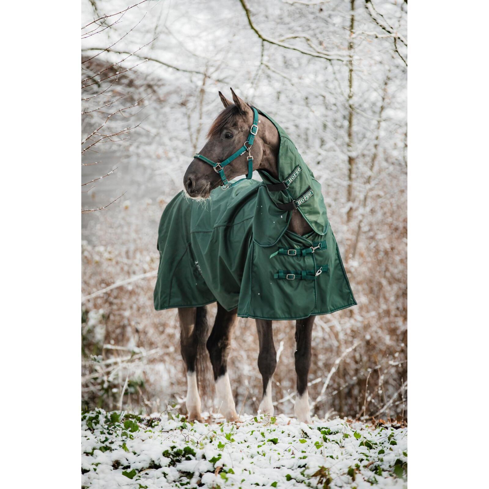 Manta de exterior para caballos HorseGuard 1200D 0g 2/3