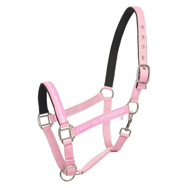 HV POLO picture