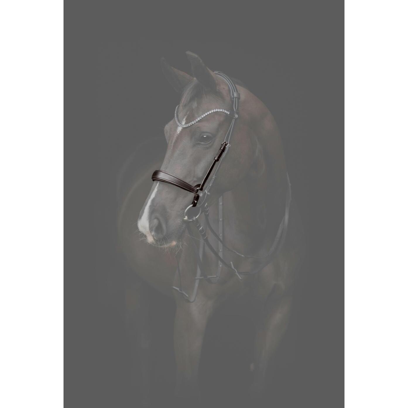 Muserola de caballo de cuero Catago Gentle 3/3