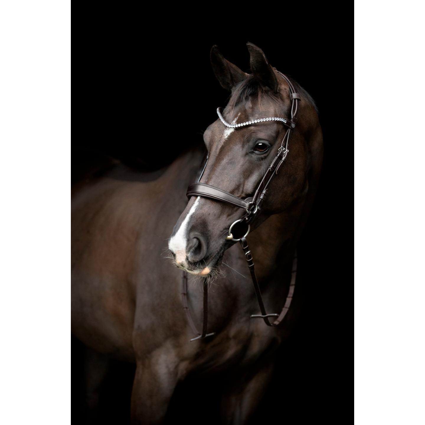 Muserola de caballo de cuero Catago Gentle 2/3
