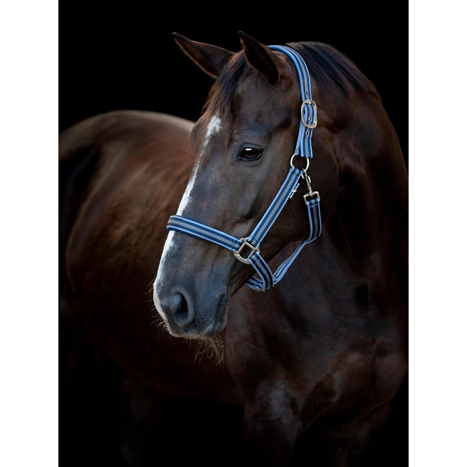 Halfter für Pferd HorseGuard Taro 2/2