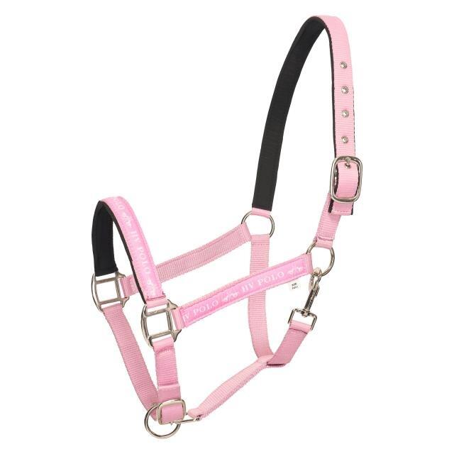 HV POLO picture
