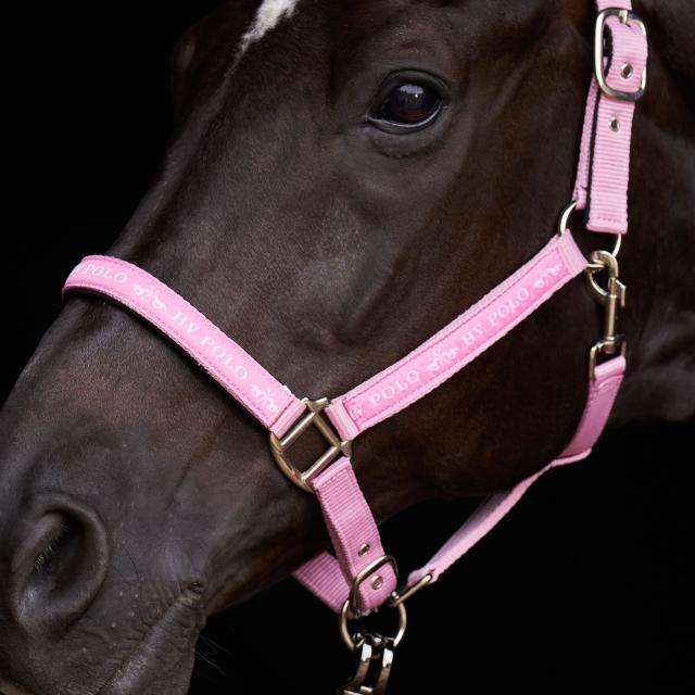 HV Polo Halster HVPNena - Pretty Pink (Shetland) 2/3