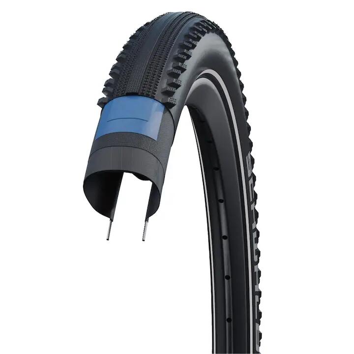 SCHWALBE picture