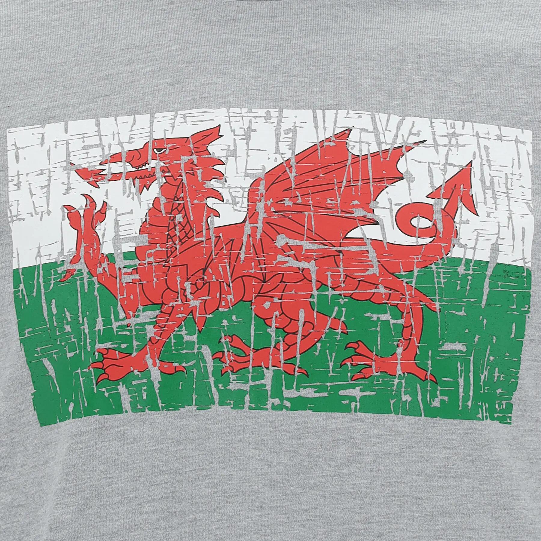 T-shirt Cotone Pays de Galles Rugby XV 2020/21 2/3