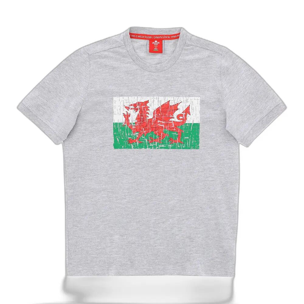 T-shirt enfant Pays de Galles Rugby XV 2020/21 1/3