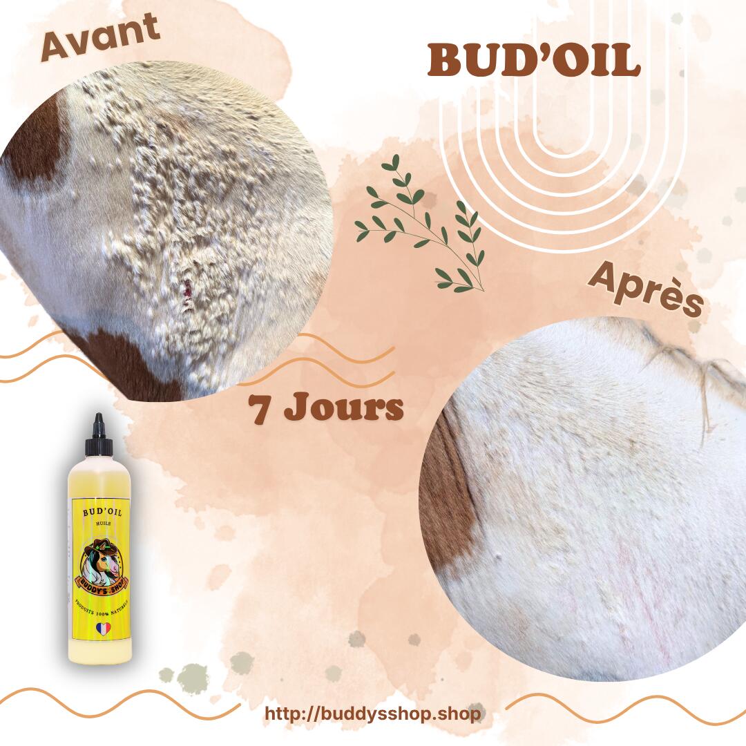 Bud’Oil – Huile de confort naturelle assainissante & répulsive 6/7