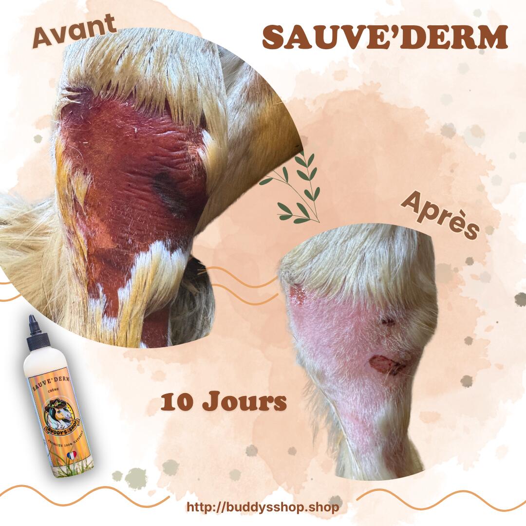 Sauve'Derm : Soin régénérant, antalgique et anti-démangeaison 4/4