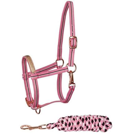 Ensemble licol pour cheval poulain Harry's Horse