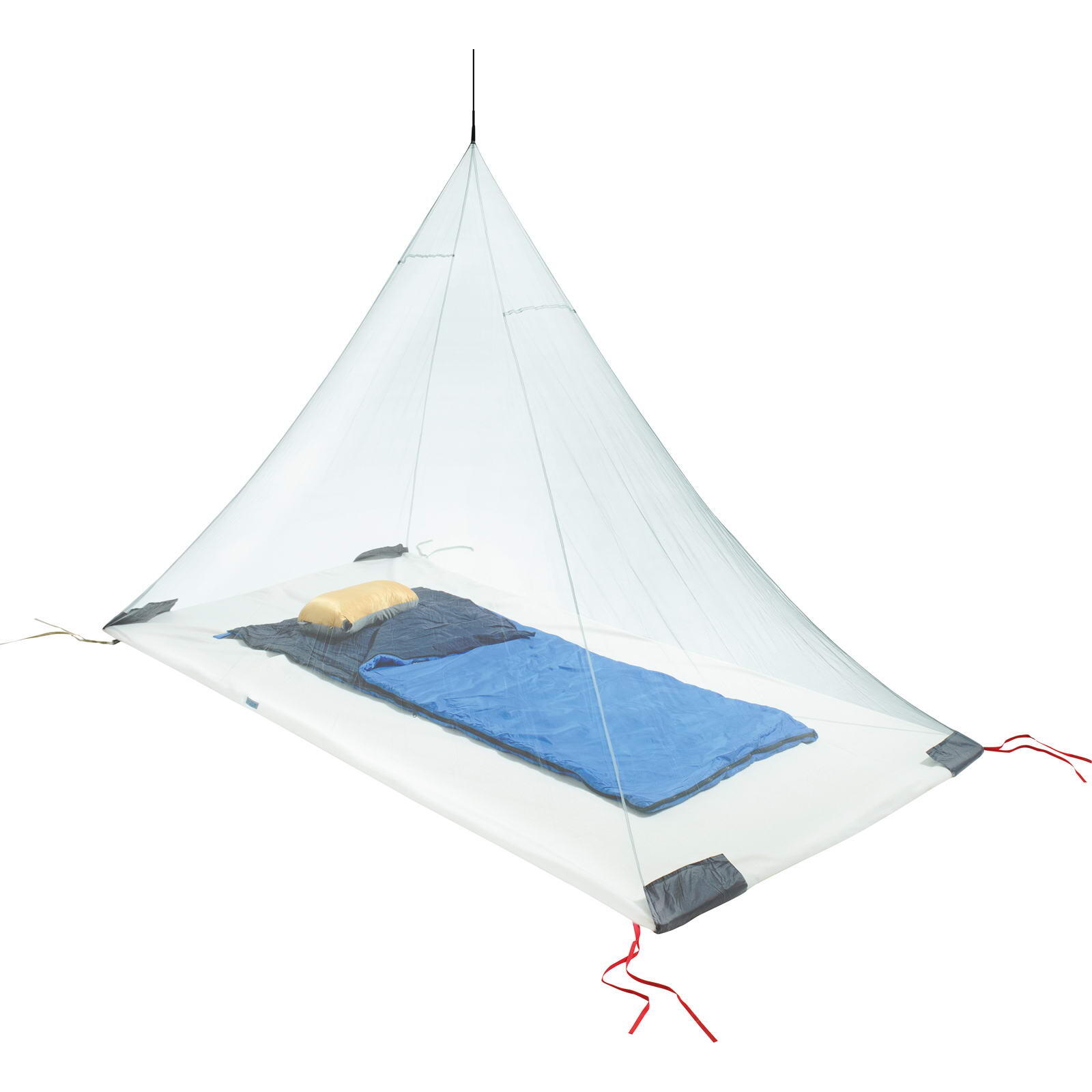 COCOON picture