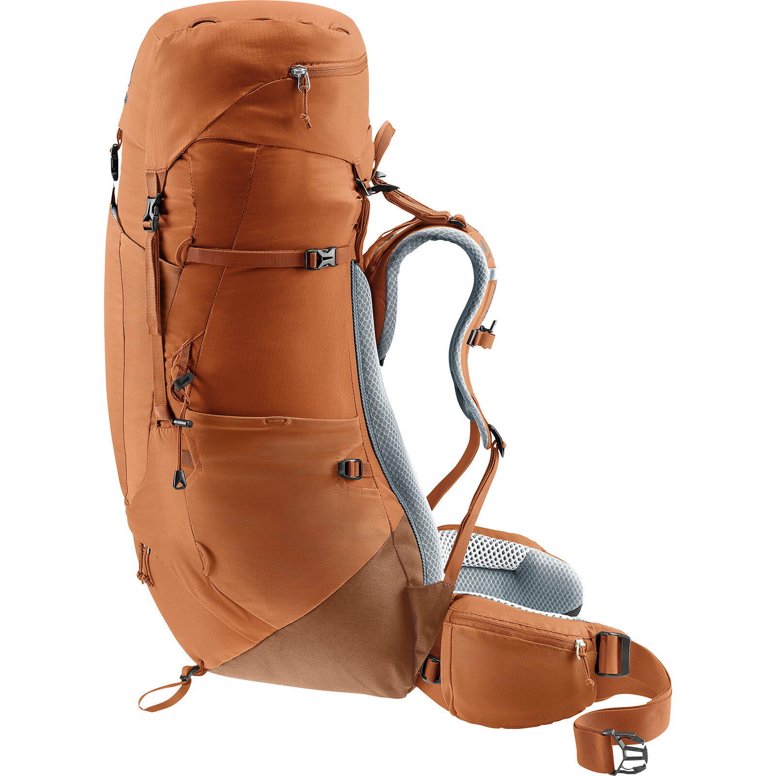 Damen-Trekkingrucksack Aircontact Lite 45+10 SL pecan-mocha 2/7